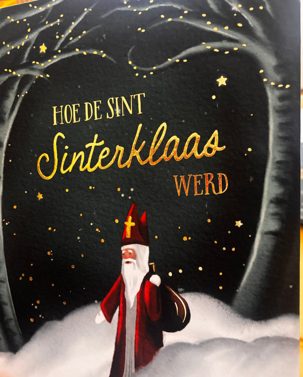 Hoe de Sint, Sinterklaas werd - Anouk van der Lucht - Rookie